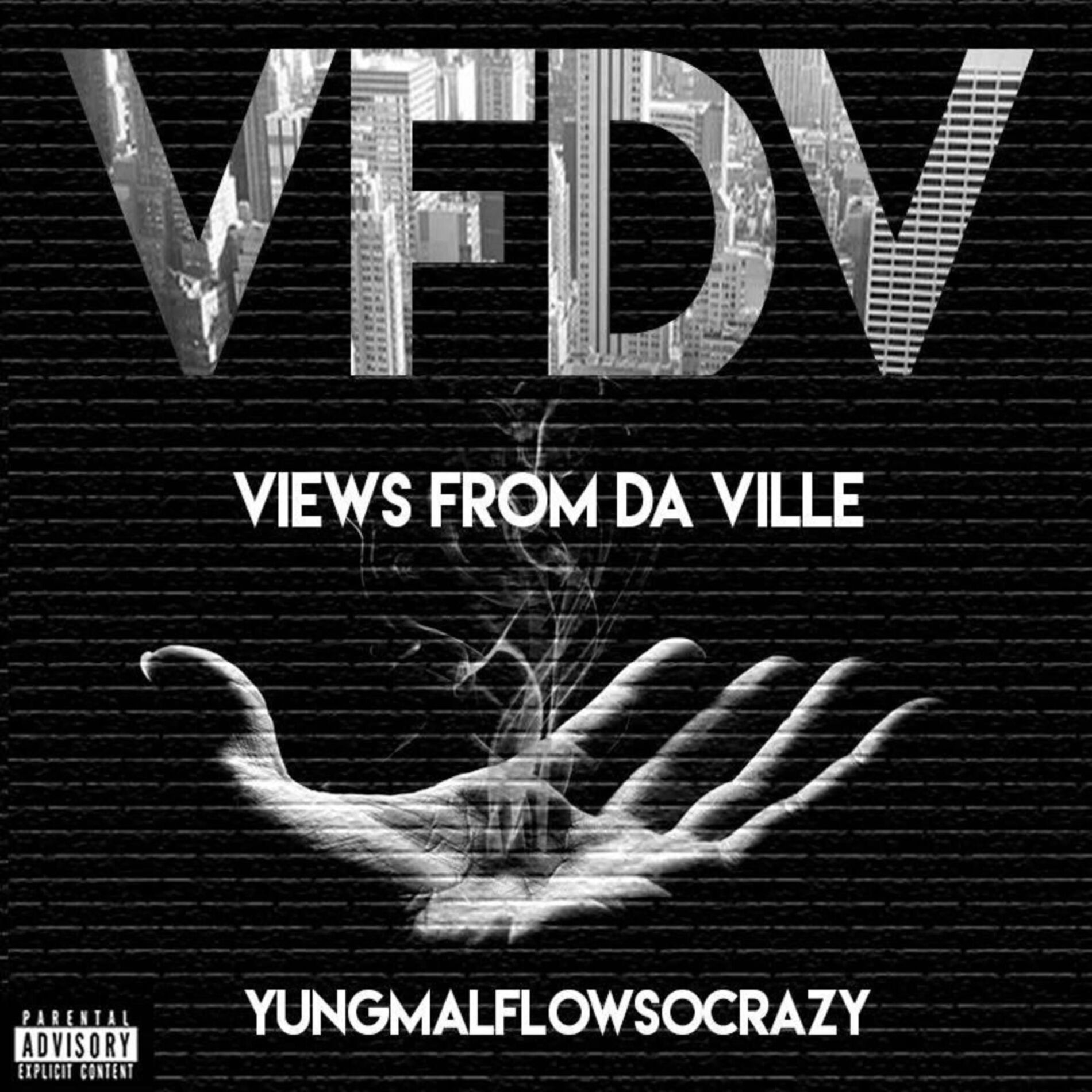 Album cover of Views from Da Ville