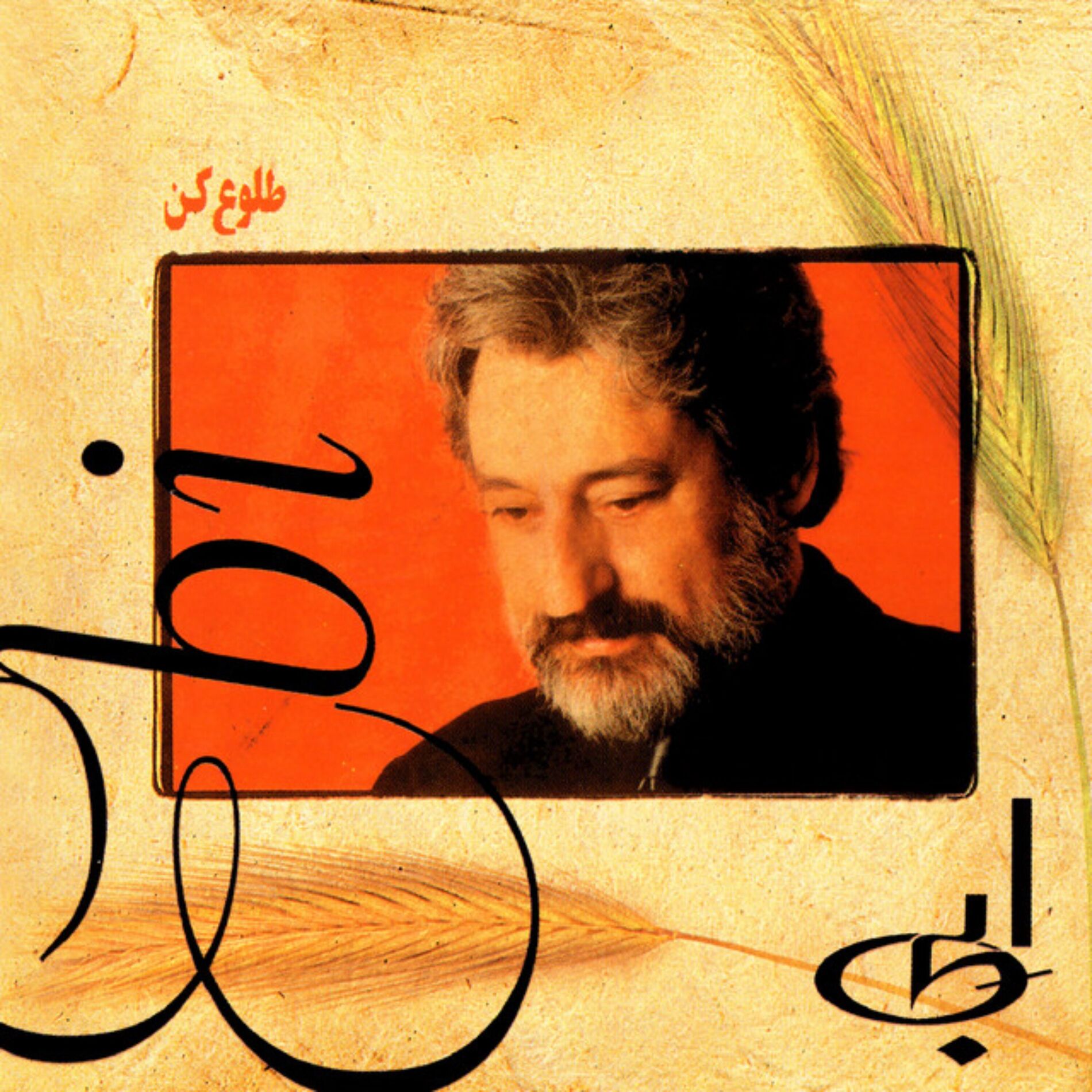 Album cover of Tolou Kon
