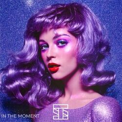Cover of In the Moment