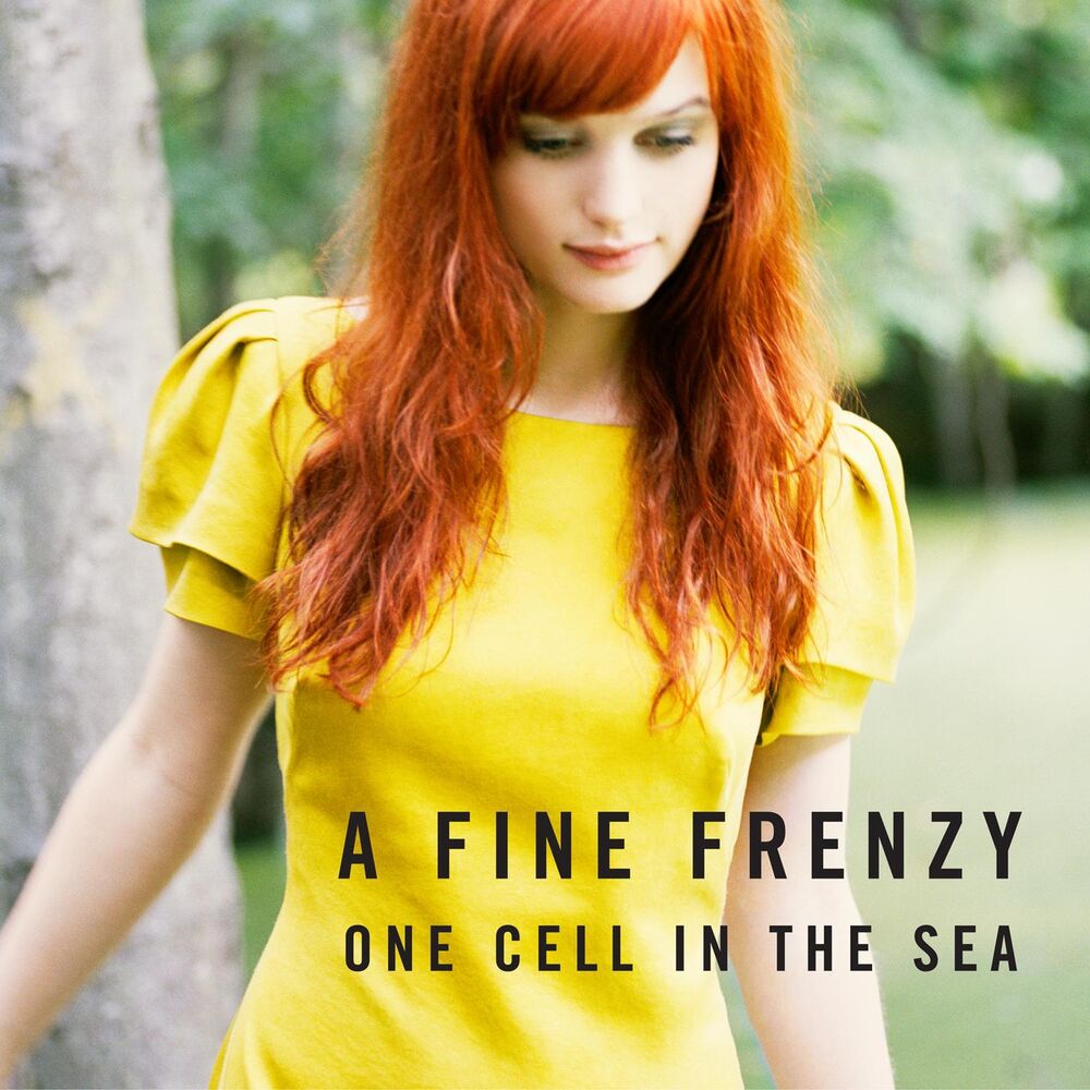 Picture of One Cell In The Sea