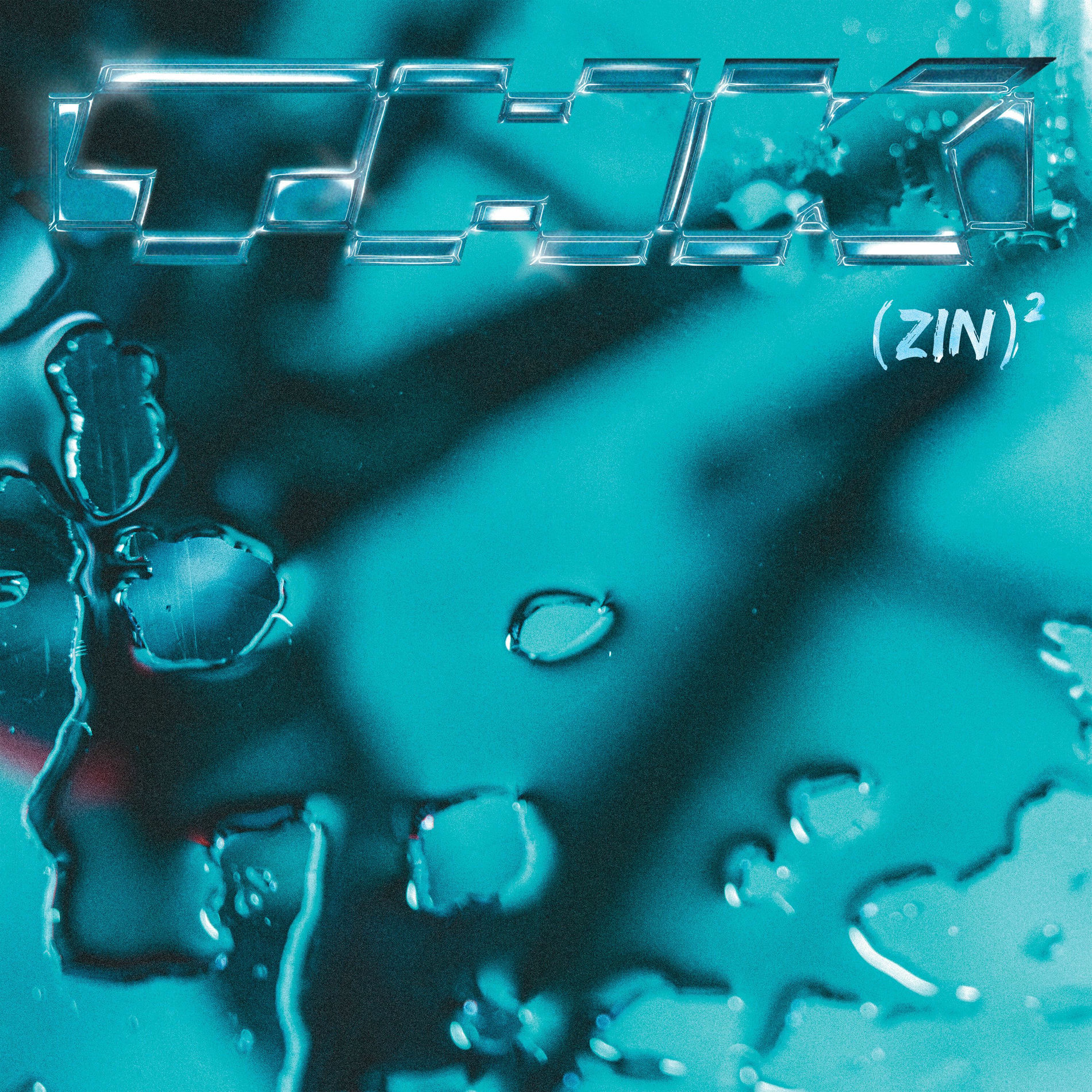 Album cover of (Zin)²