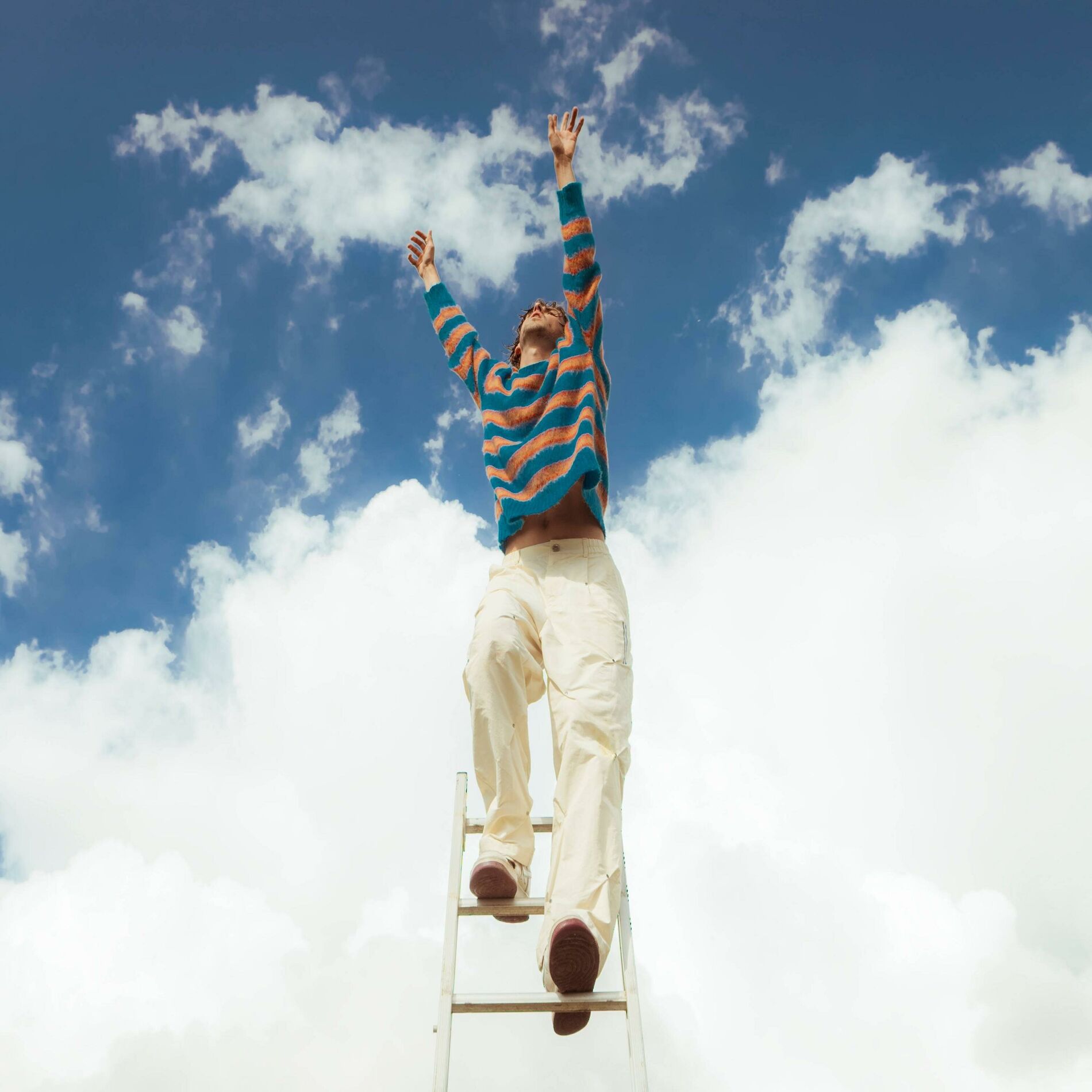 Album cover of Félin