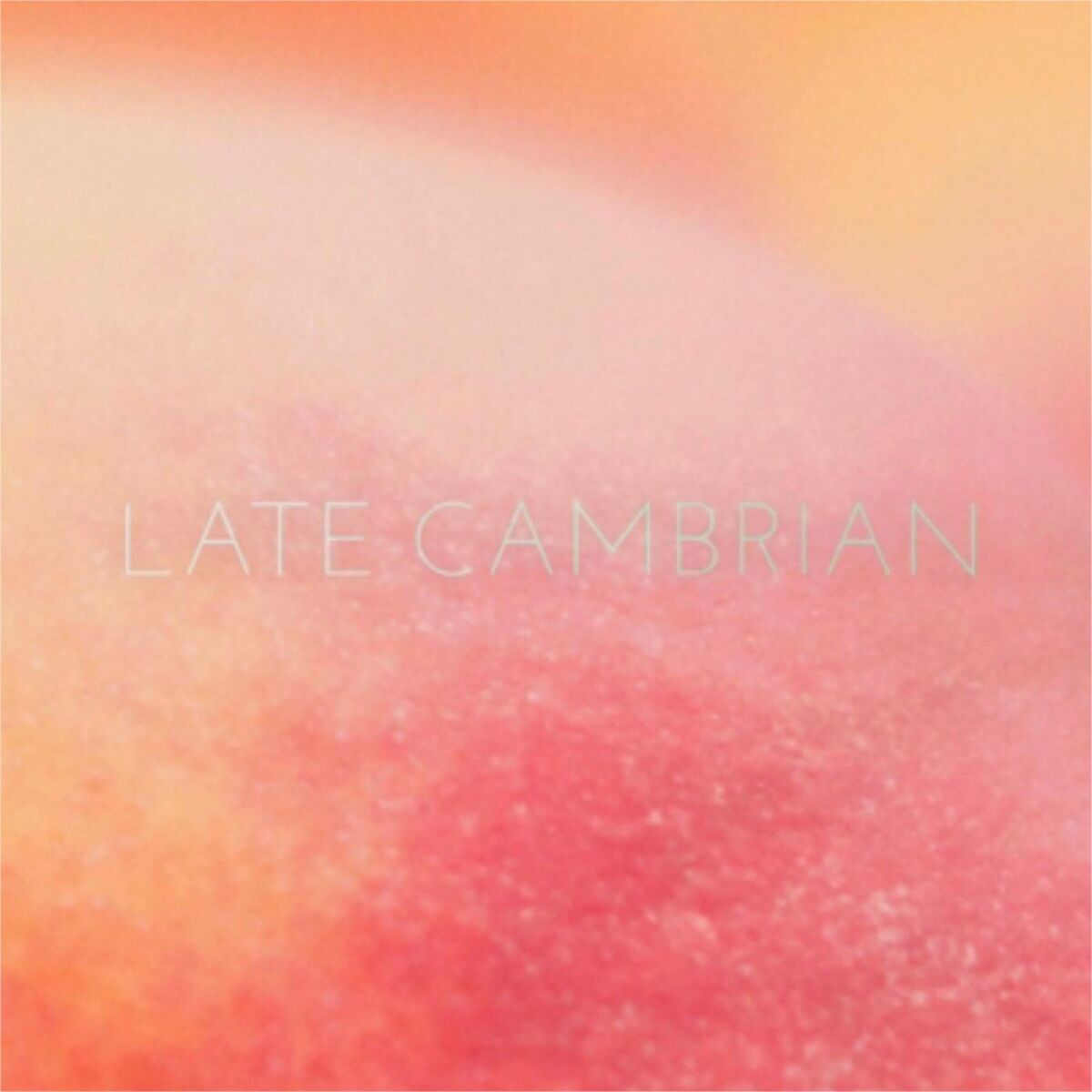 Album cover of Peach (10th Anniversary)