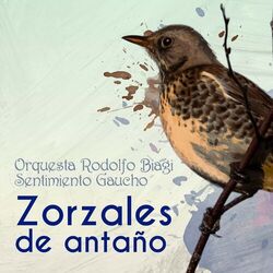 Cover of Zorzales de Antaño - Orquesta Rodolfo Biagi - Sentimiento Gaucho