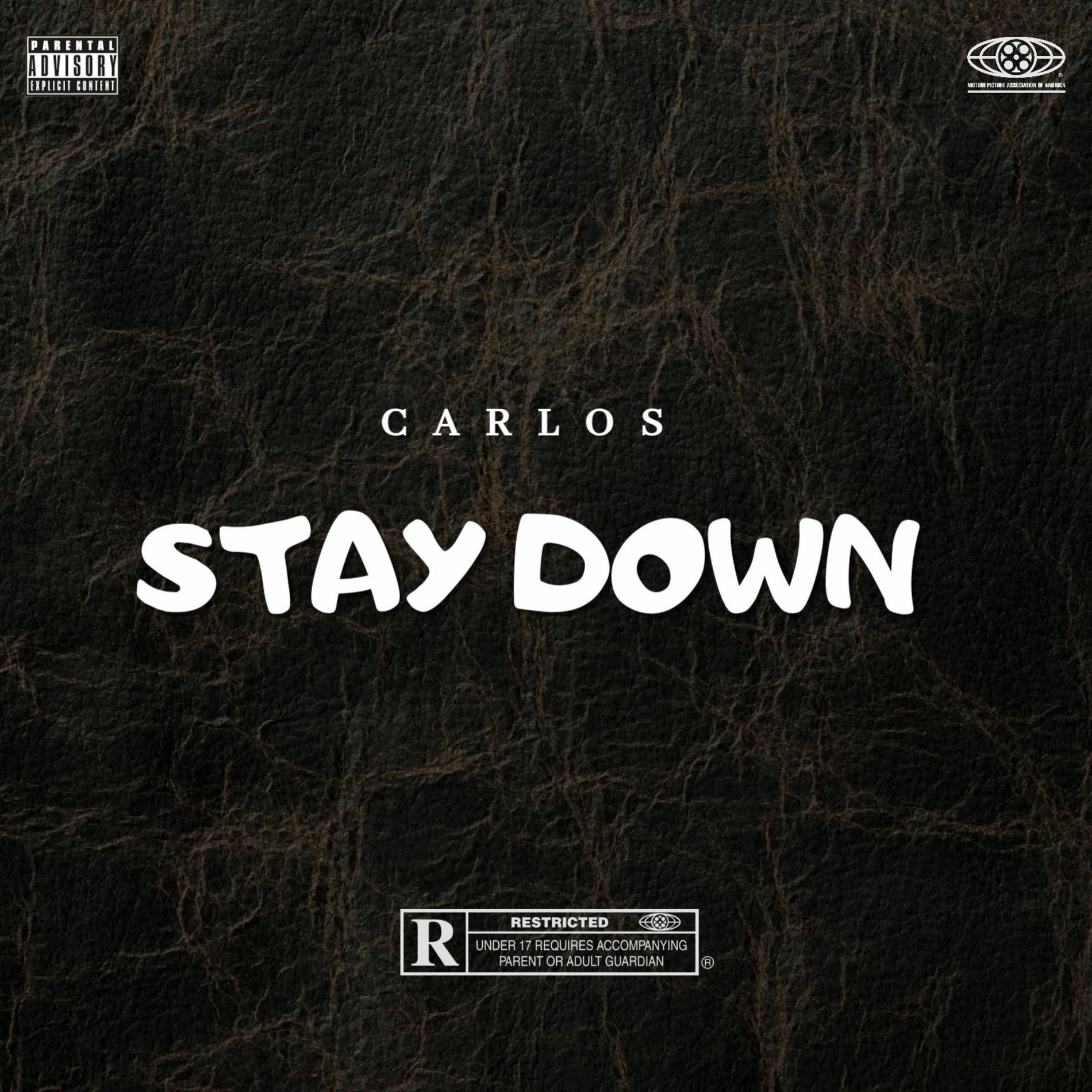 Album cover of Stay Down