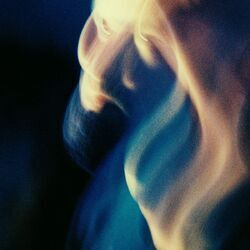 Cover of The Ghost