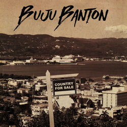 Cover of Country For Sale