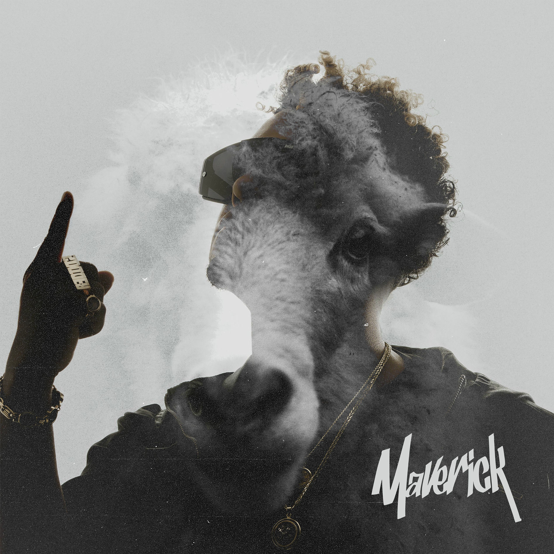Album cover of Maverick
