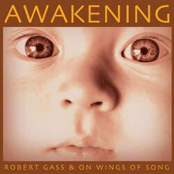 Cover of Awakening