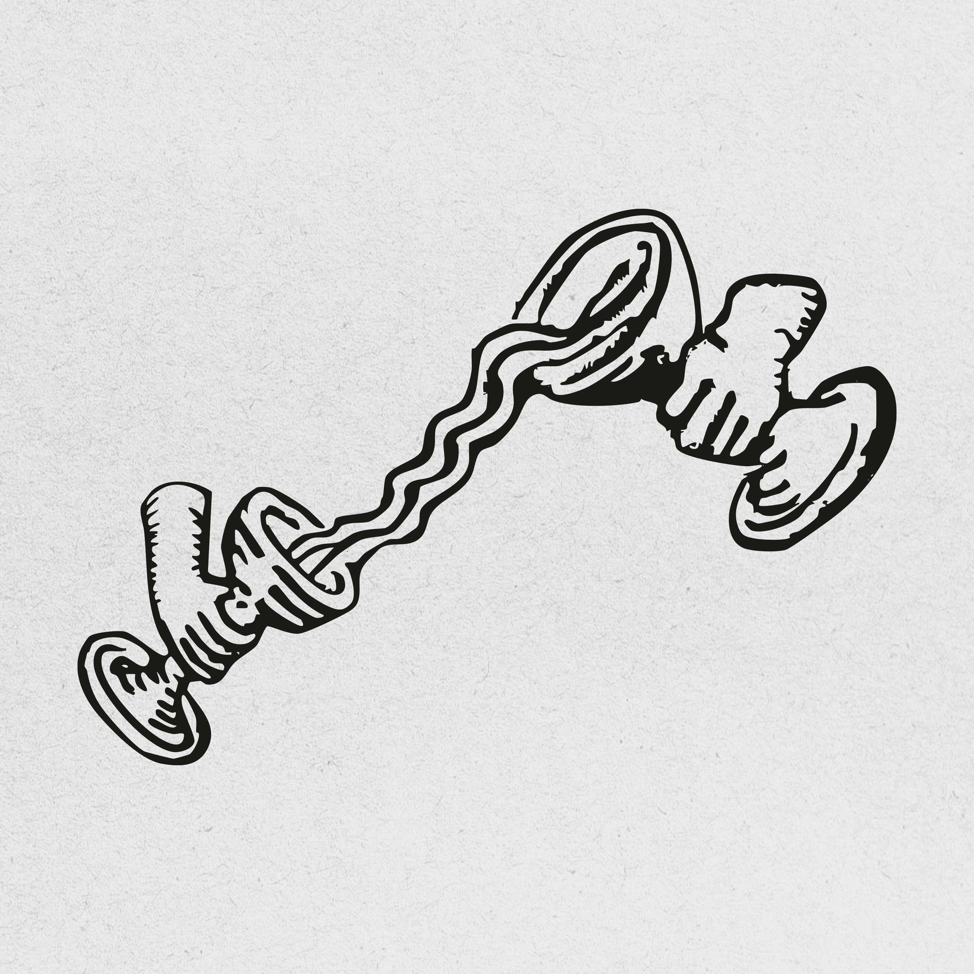 Album cover of Show Us Some Love