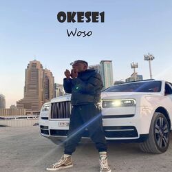 Cover of Woso