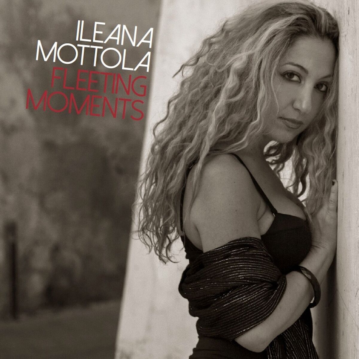 Album cover of Fleeting Moments