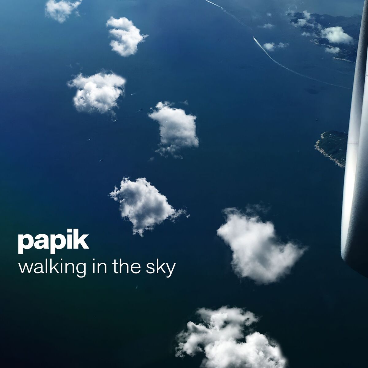 Album cover of Walking in the Sky