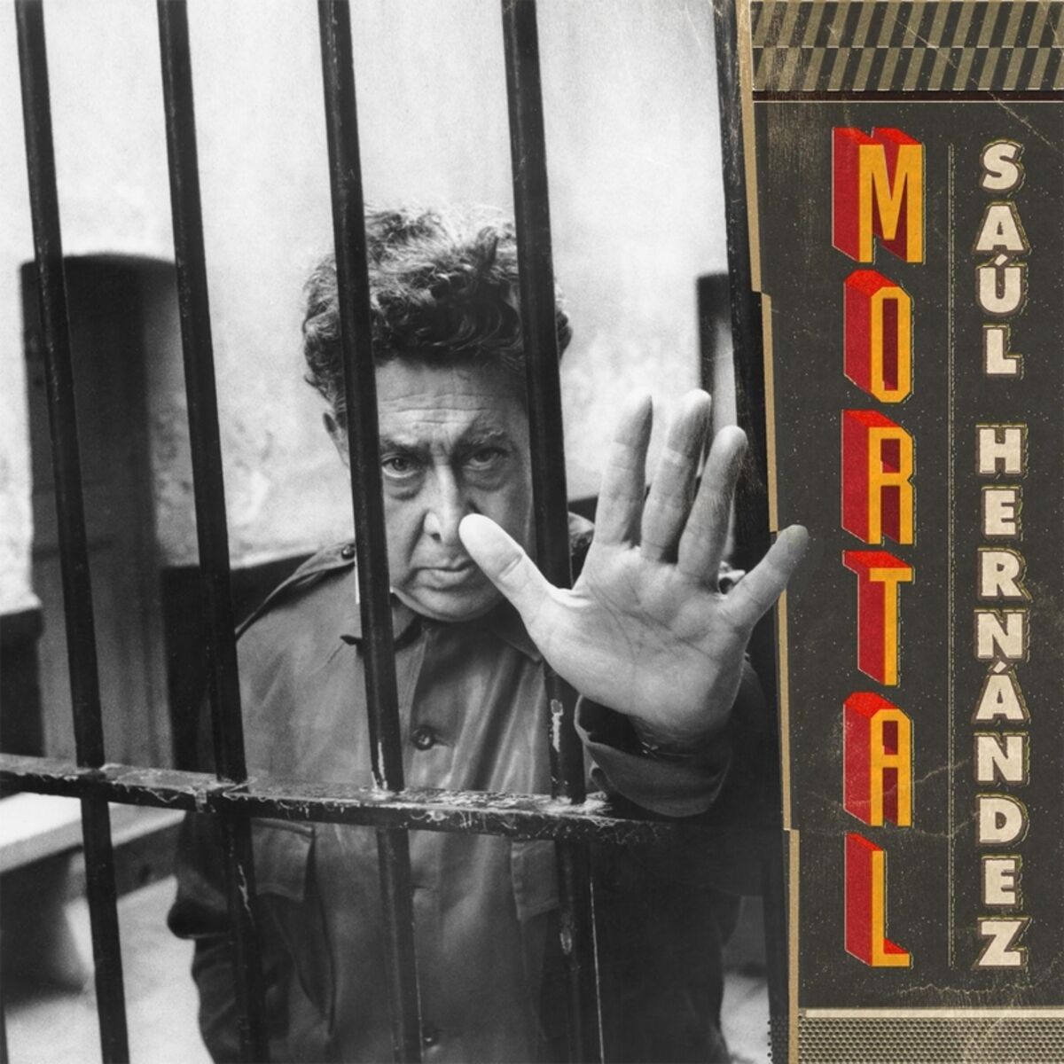 Album cover of Mortal
