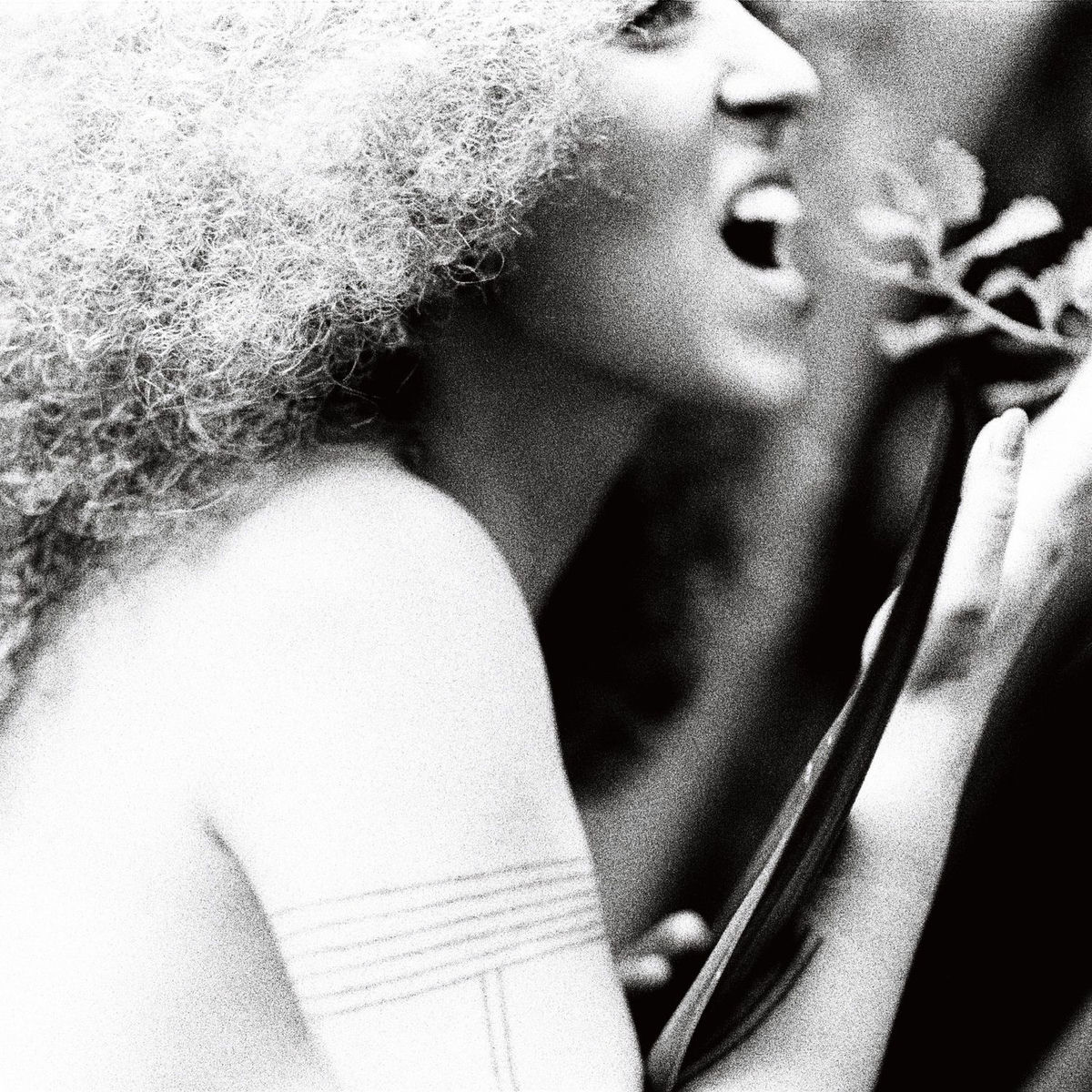 Album cover of AfrodisíacA - Capítulo 2