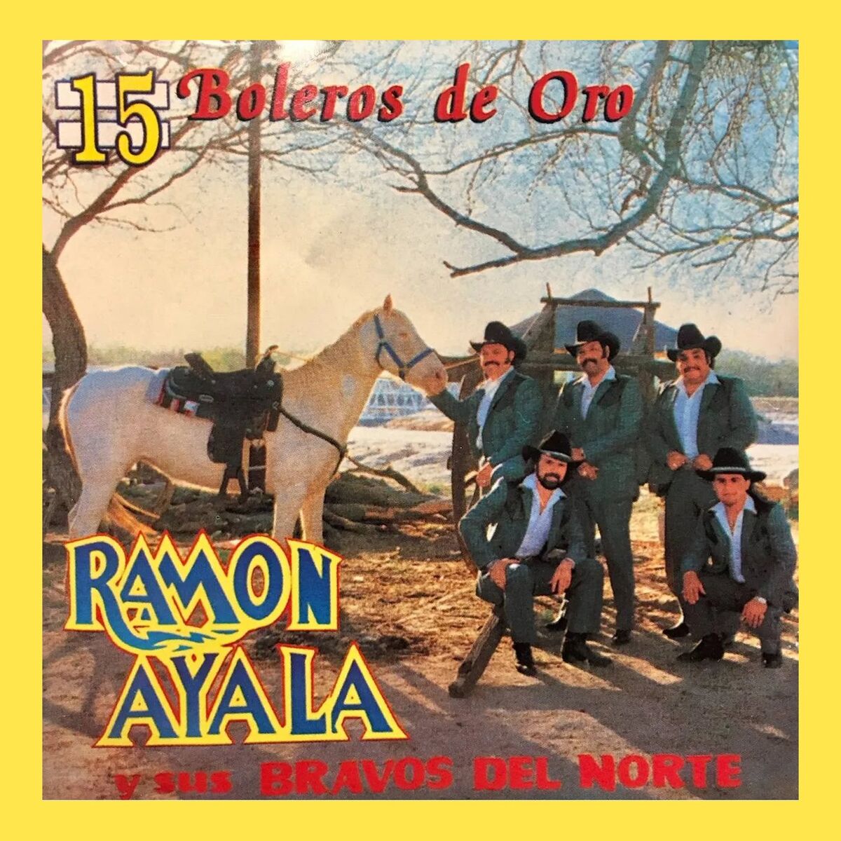 Album cover of 15 Boleros De Oro