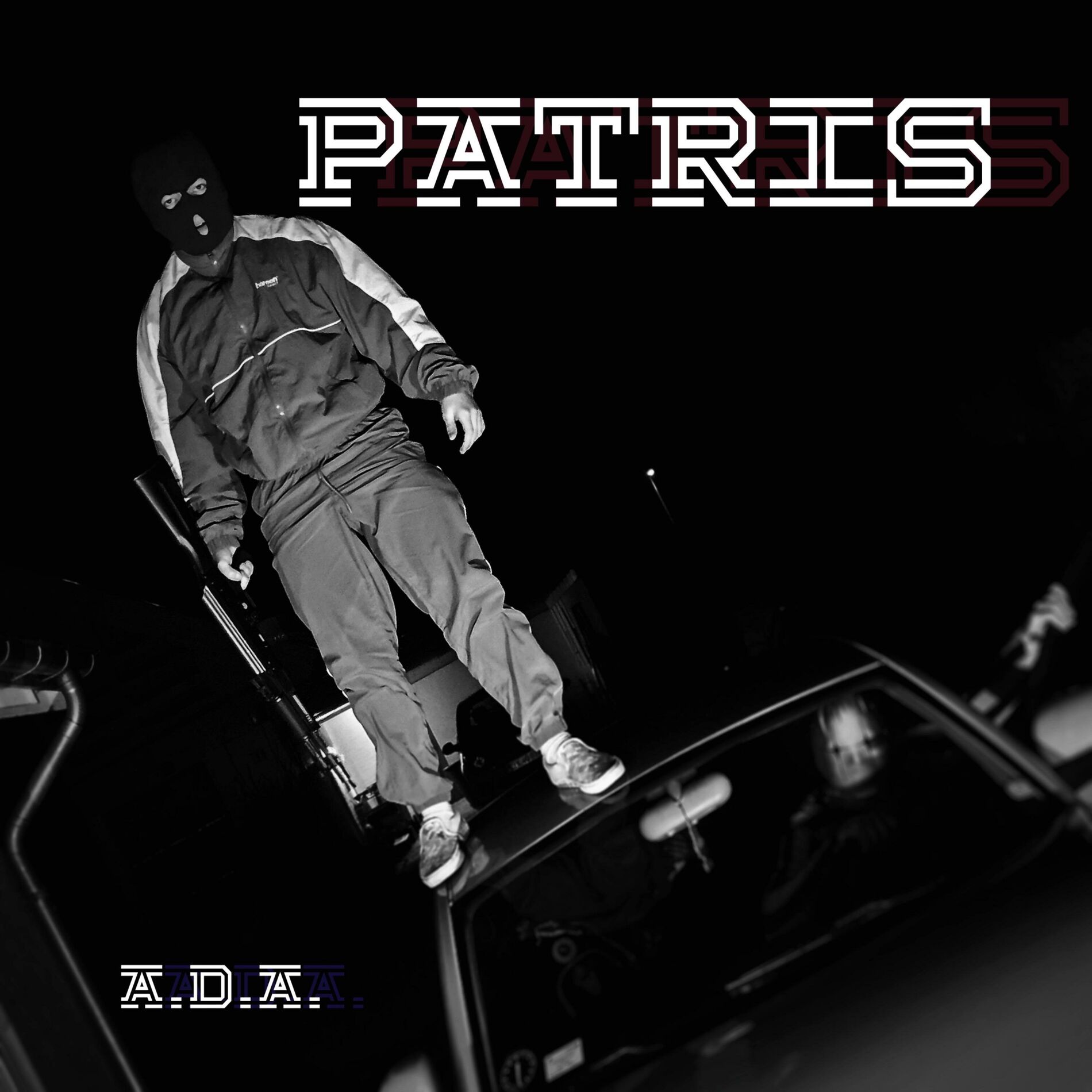 Album cover of PATRIS