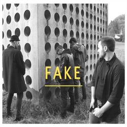 Cover of Fake (Live)