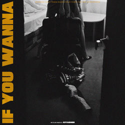 Capa de If You Wanna