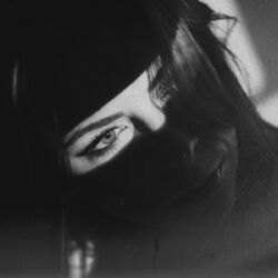 Cover of Gray