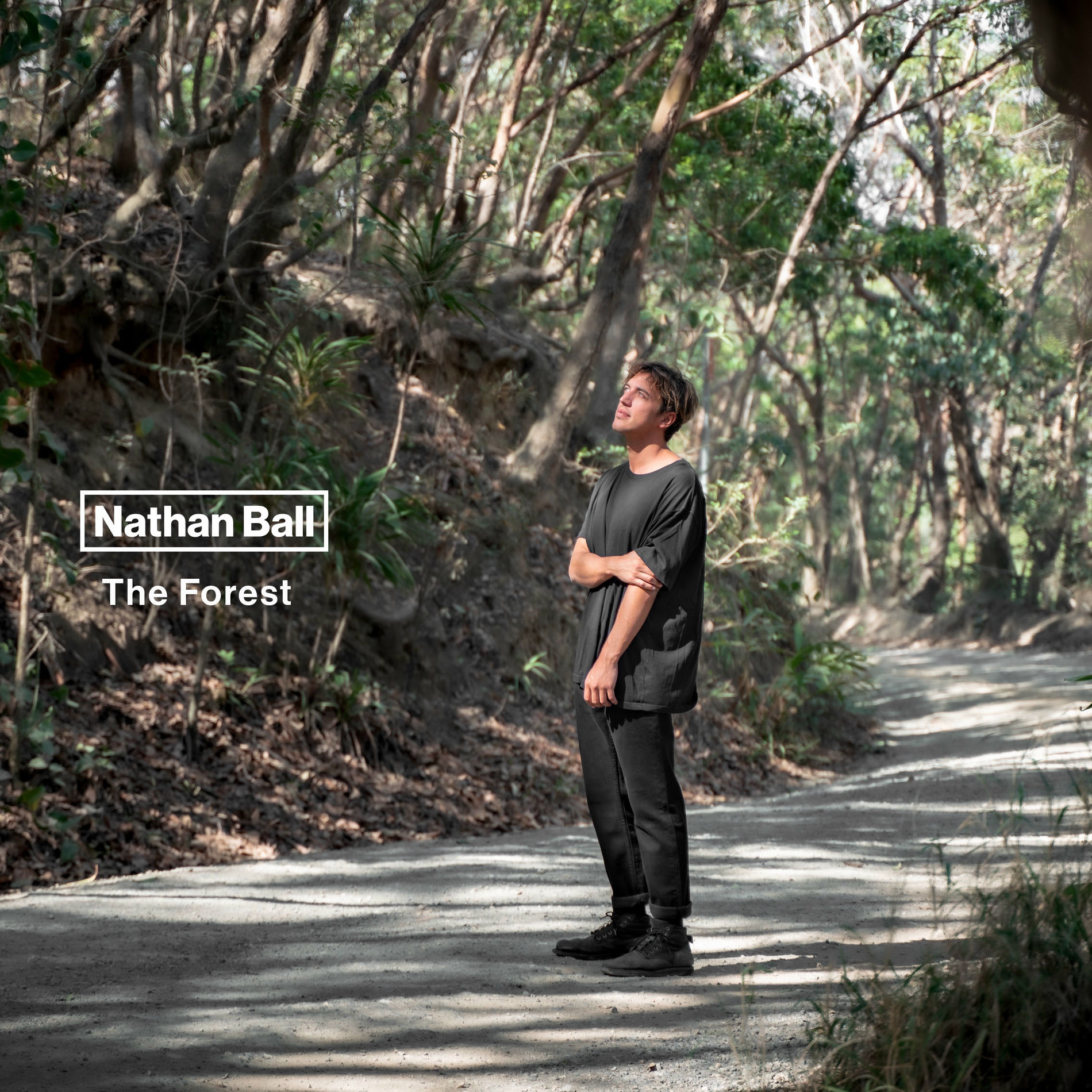 Album cover of The Forest