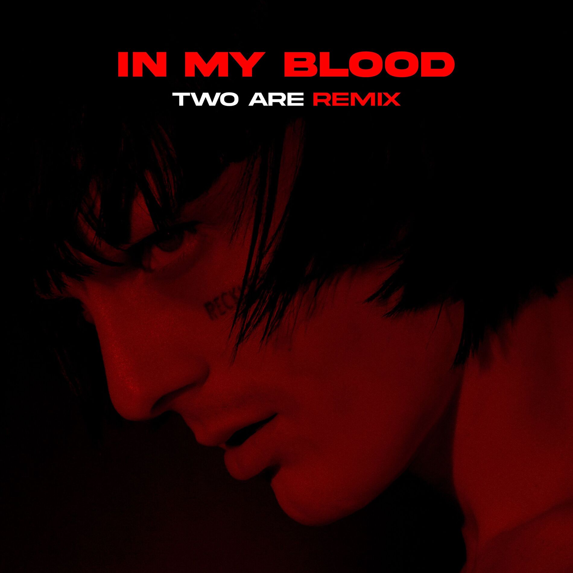 Album cover of IN MY BLOOD (Two Are Remix)