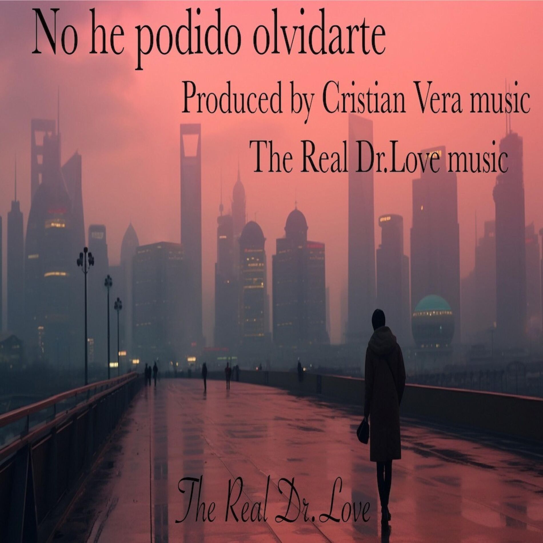 Album cover of No he podido olvidarte