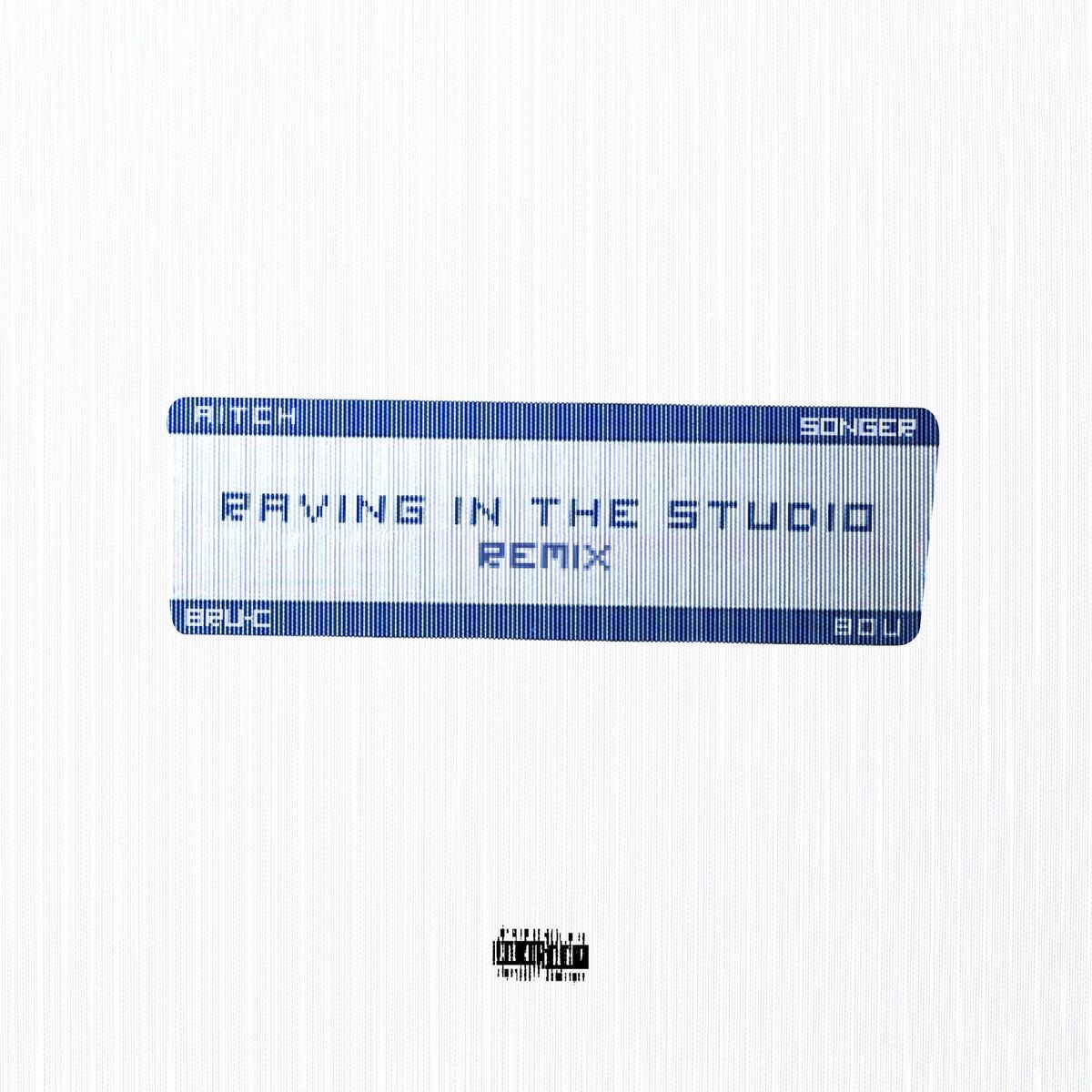 Album cover of Raving In The Studio