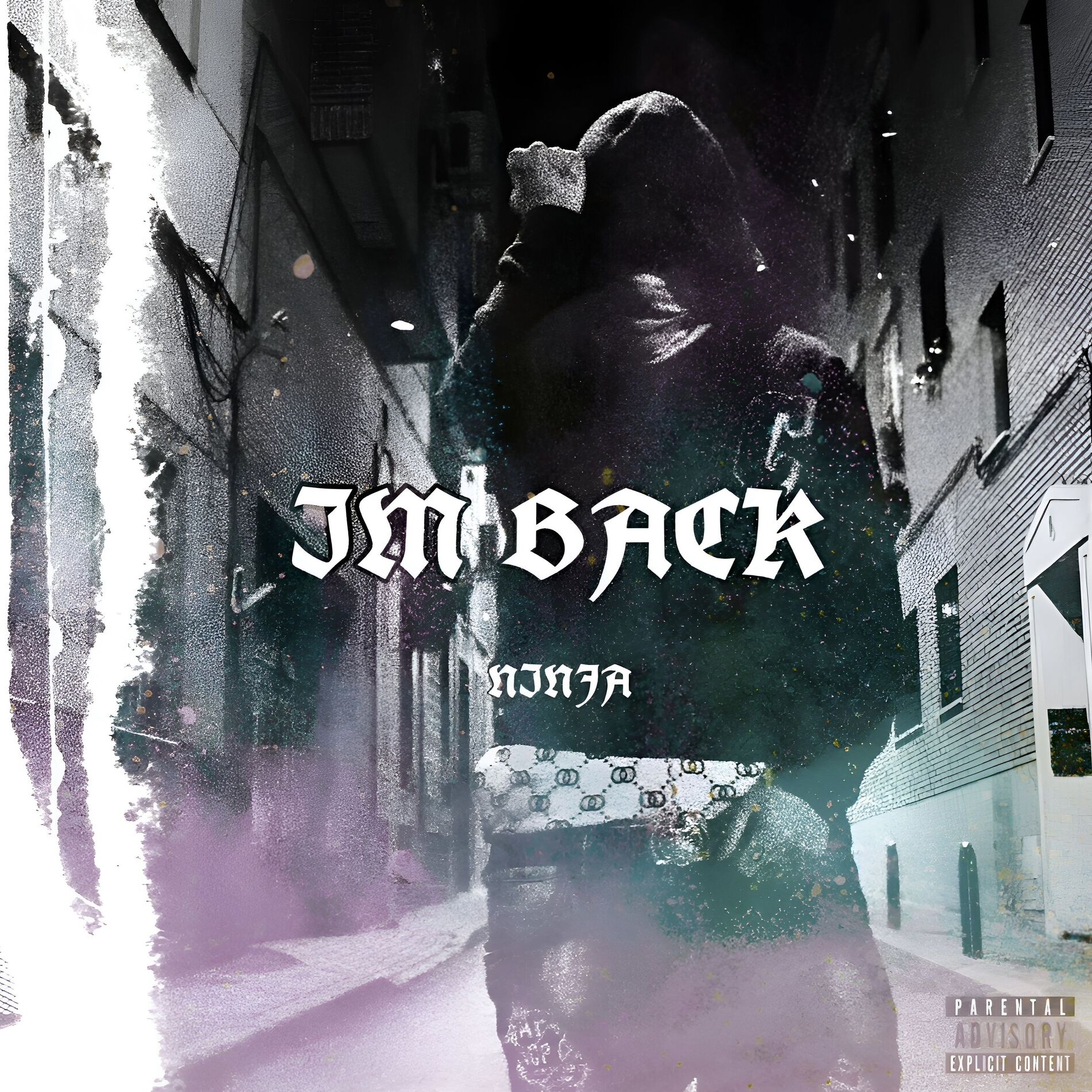 Album cover of IM BACK