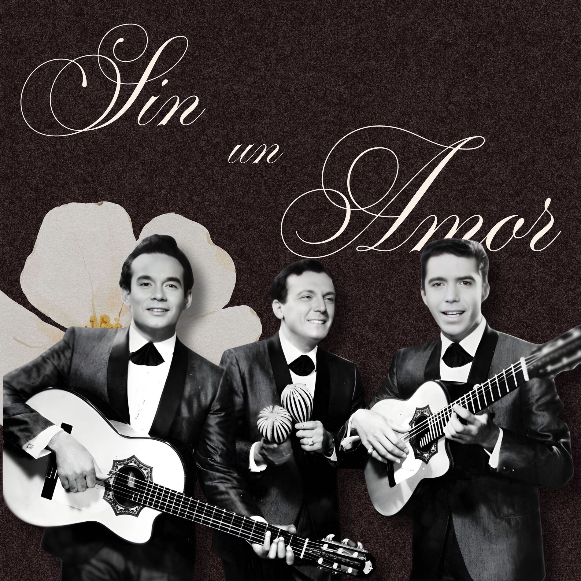 Album cover of Sin un Amor (Los Tres Reyes)