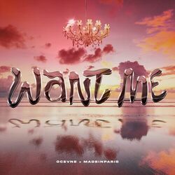 Cover of Want me