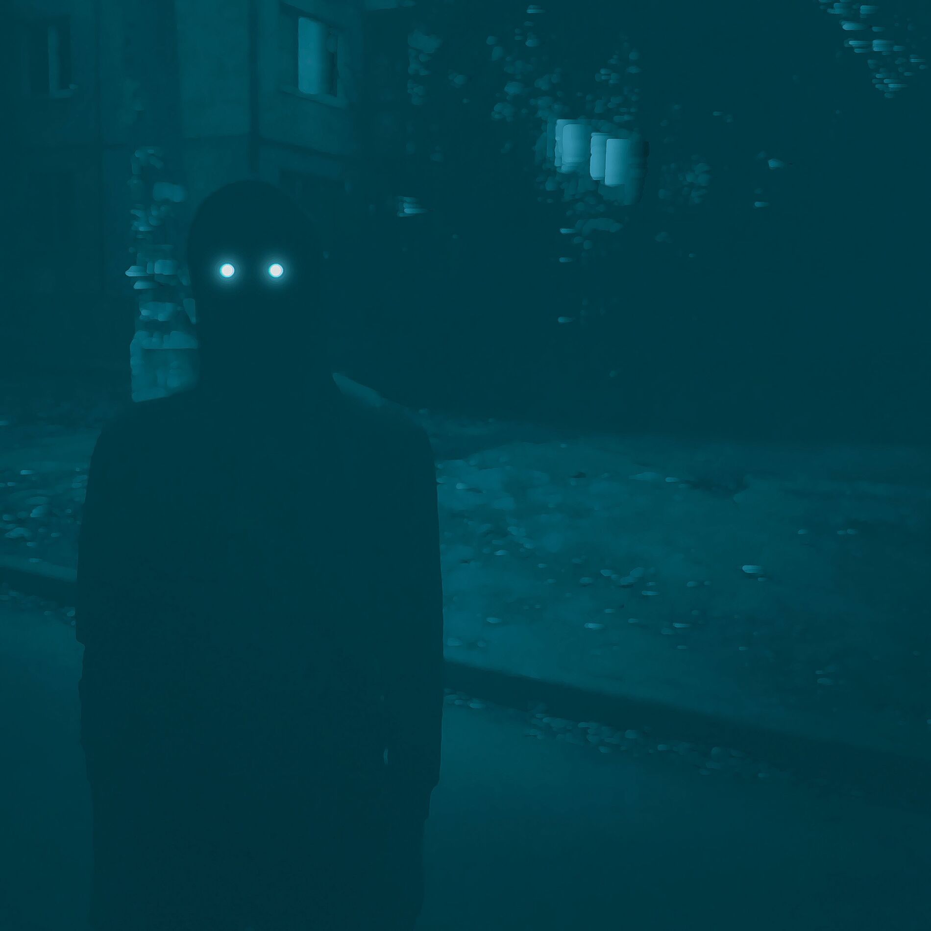 Album cover of Past Incarnation