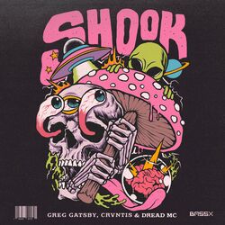 Cover of Shook
