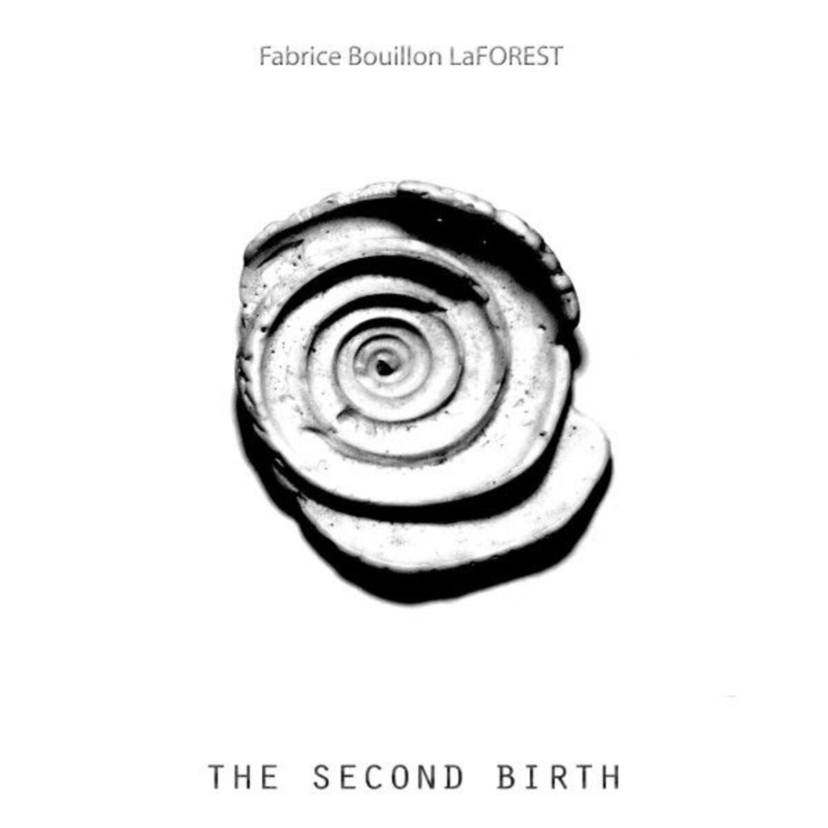 Album cover of The Second Birth