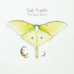 Cover of The Guru Within