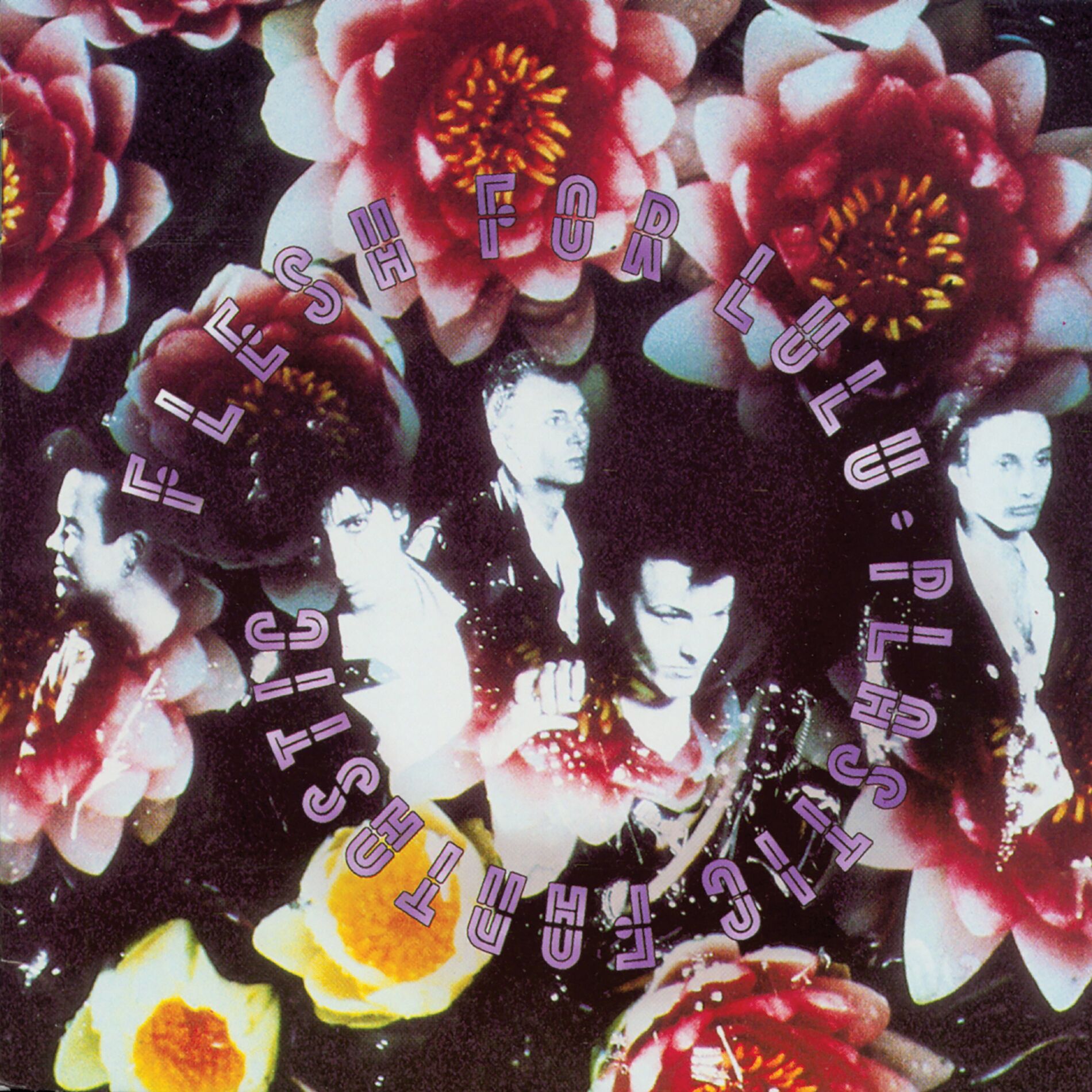 Album cover of Plastic Fantastic