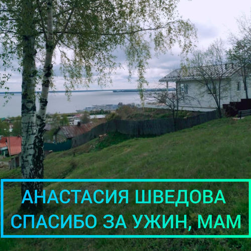 Спасибо за ужин, мам