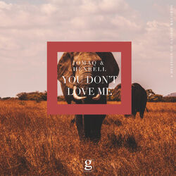 Cover of You Don't Love Me