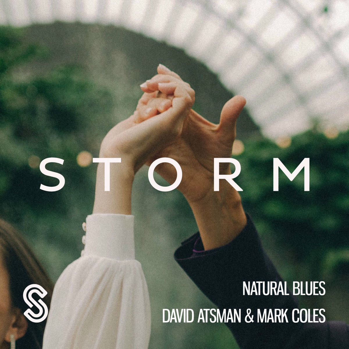 Album cover of Natural Blues