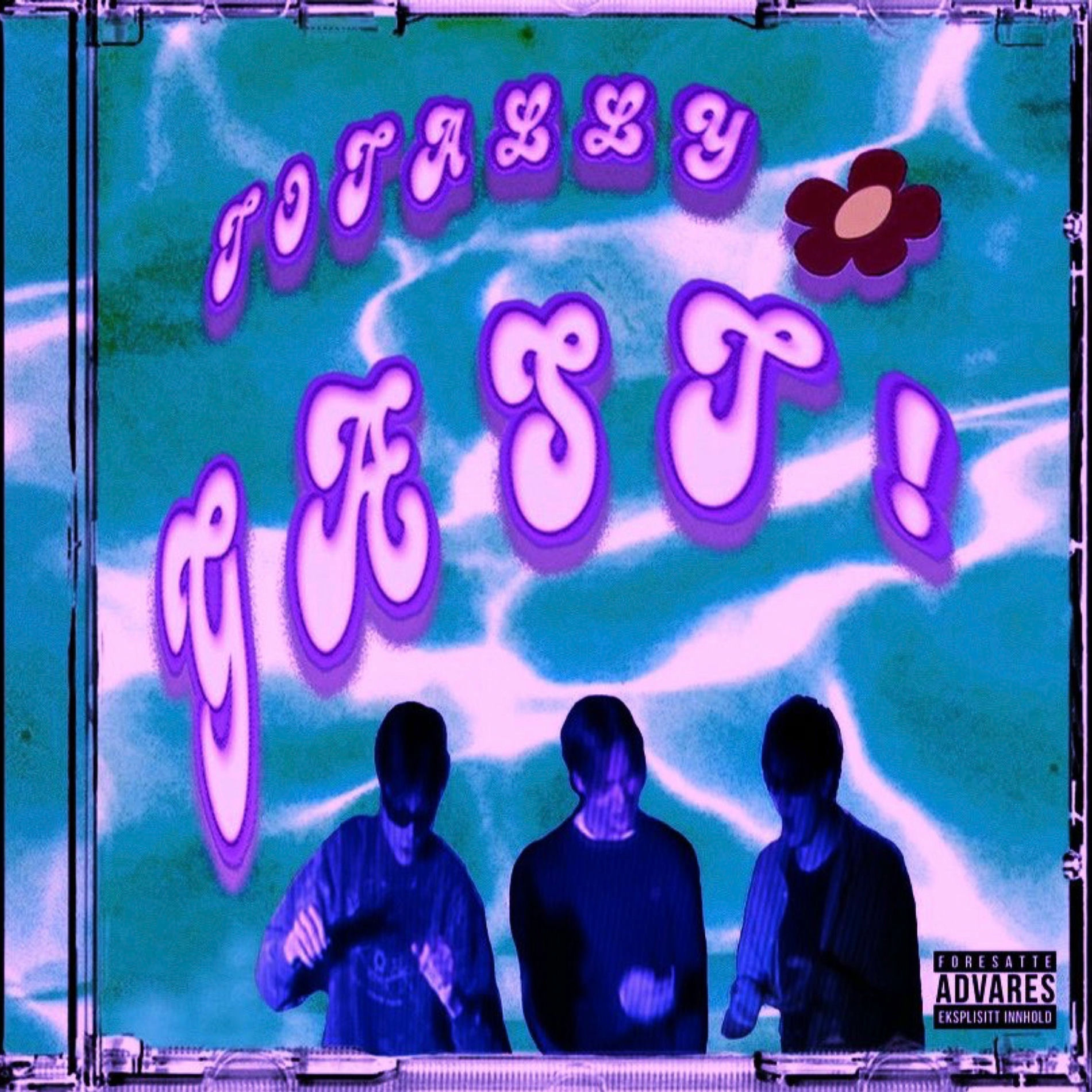 Album cover of Totally Gæst (feat. Hævk, Moe3, Lars Bond, _gabben_, Esso & Kasper 939) [Slowed + Reverb]