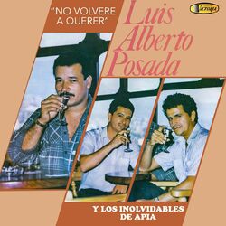 Cover of No Volveré a Querer