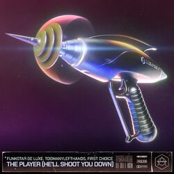 Cover of The Player (He'll Shoot You Down)