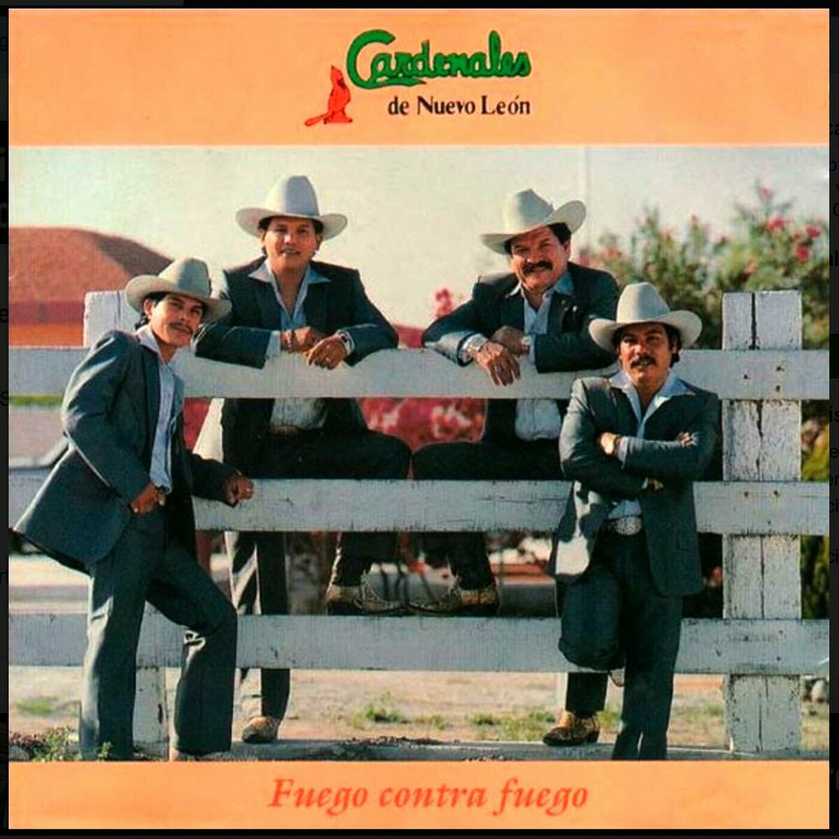 Album cover of Fuego Contra Fuego