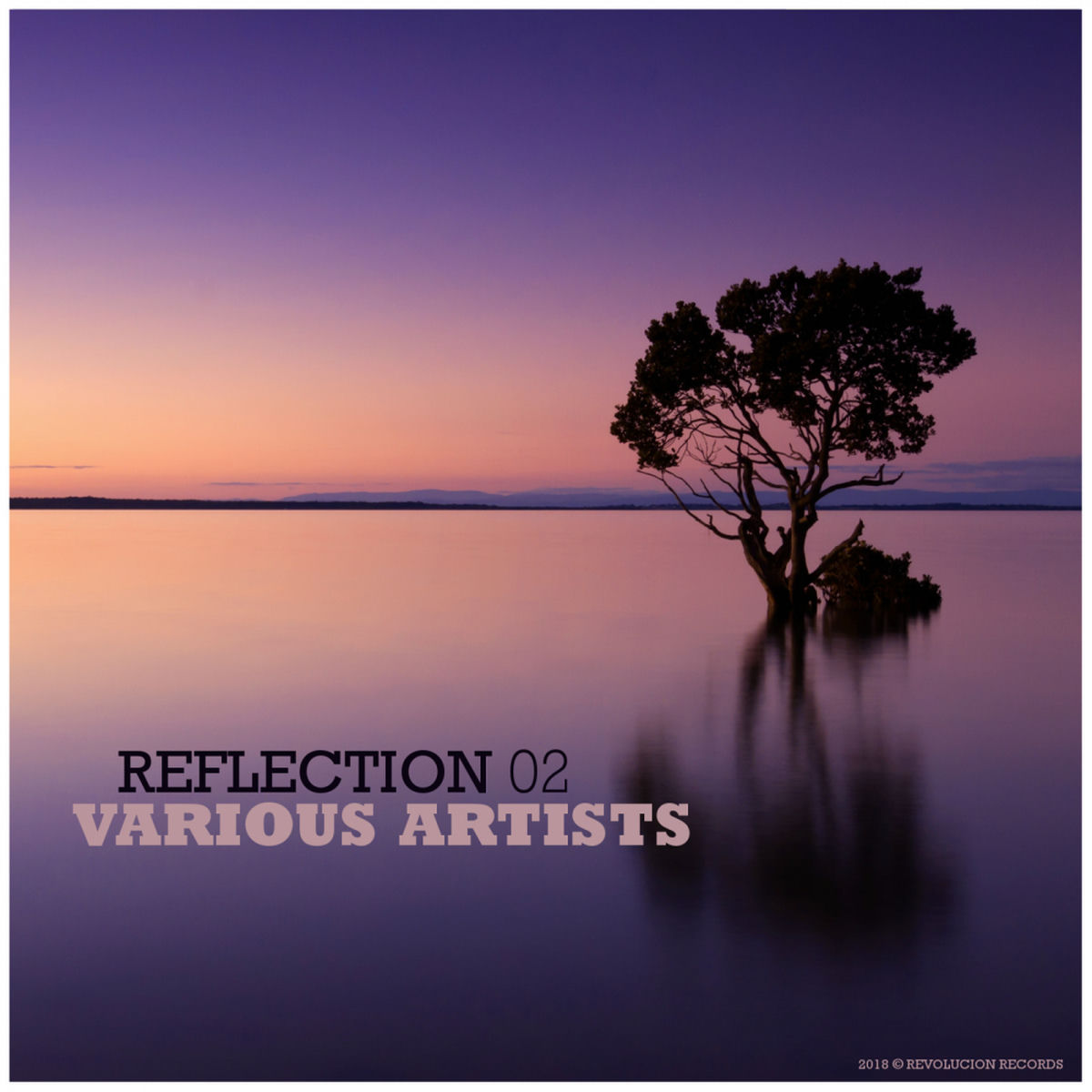 Album cover of Reflection 02