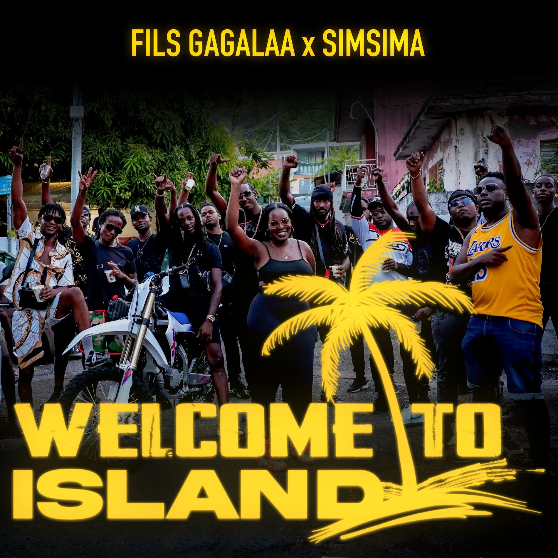 Album cover of Welcome to Island
