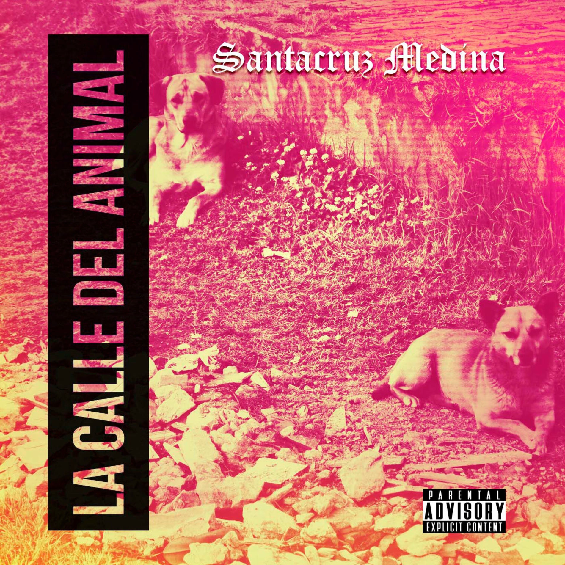Album cover of La Calle del Animal