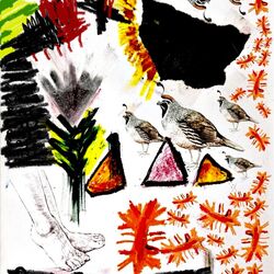 Cover of VENGANZA DEL SOL