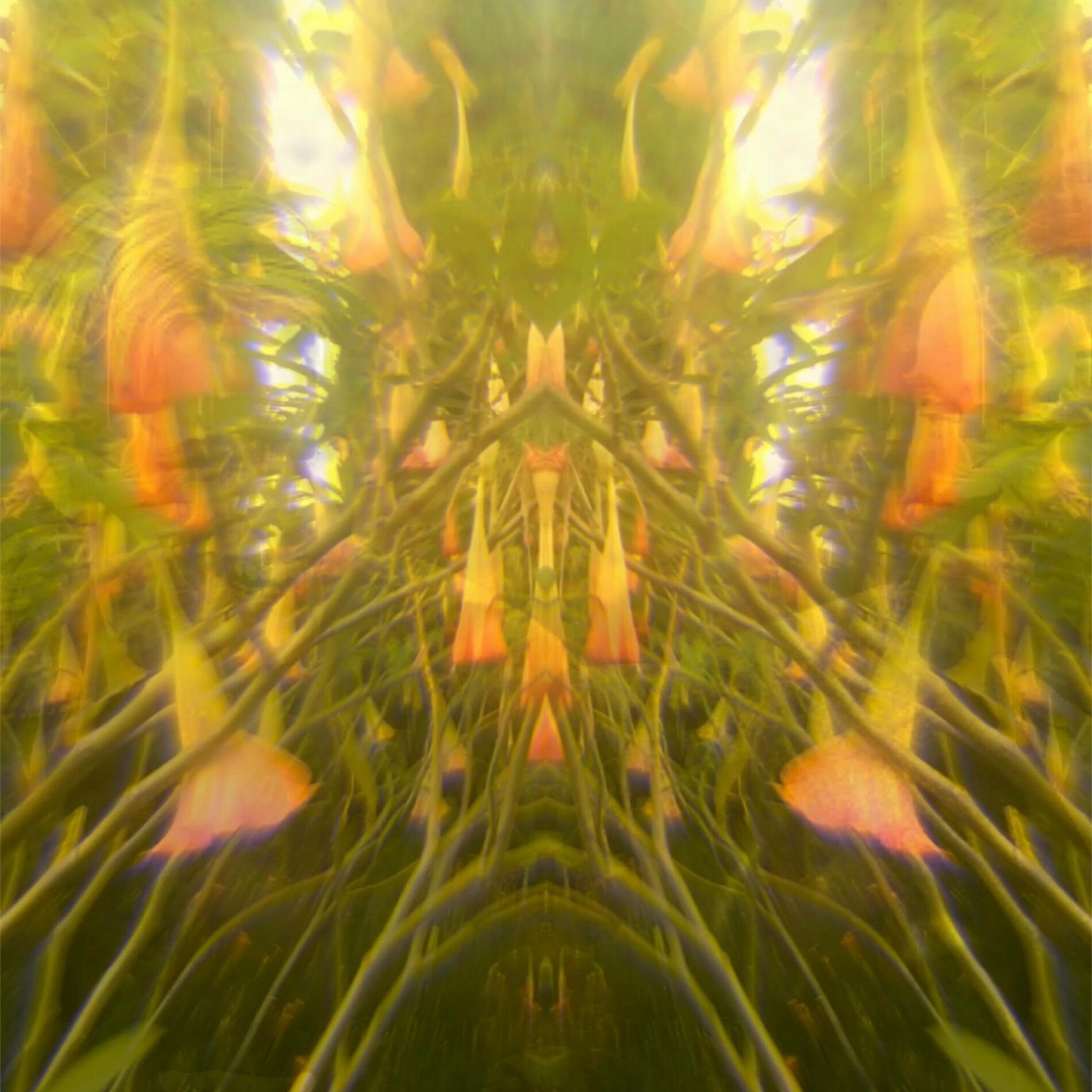 Album cover of Romeo