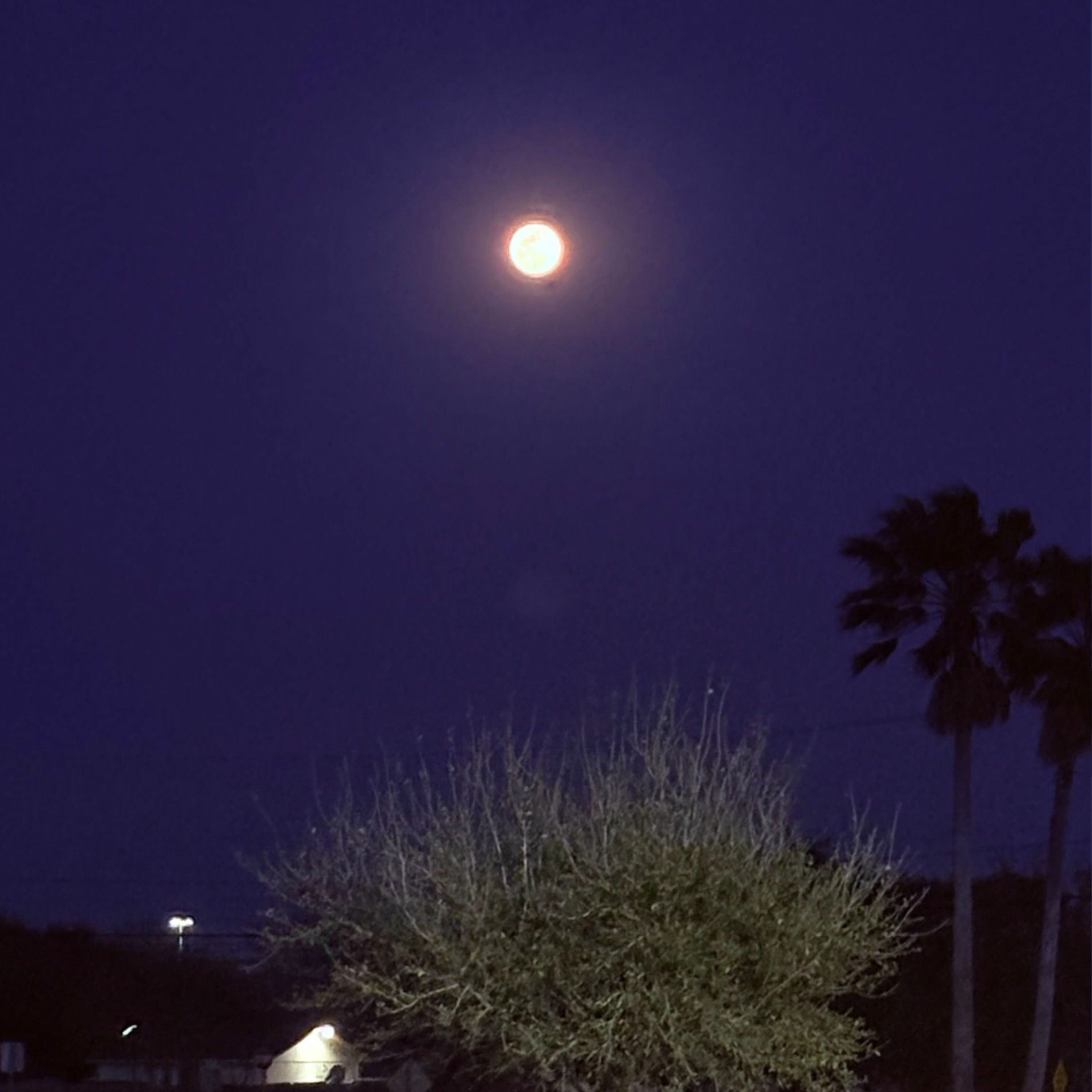 Album cover of Sequence