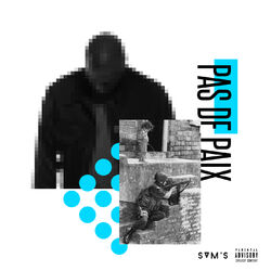 Cover of Pas de paix